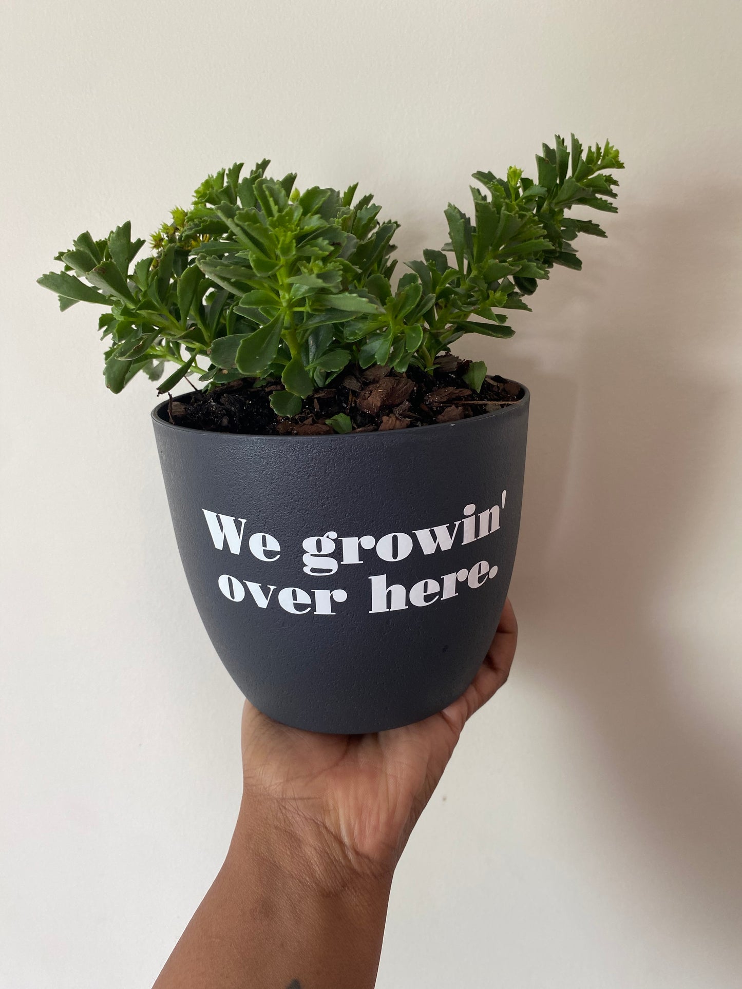 We growin’ over here