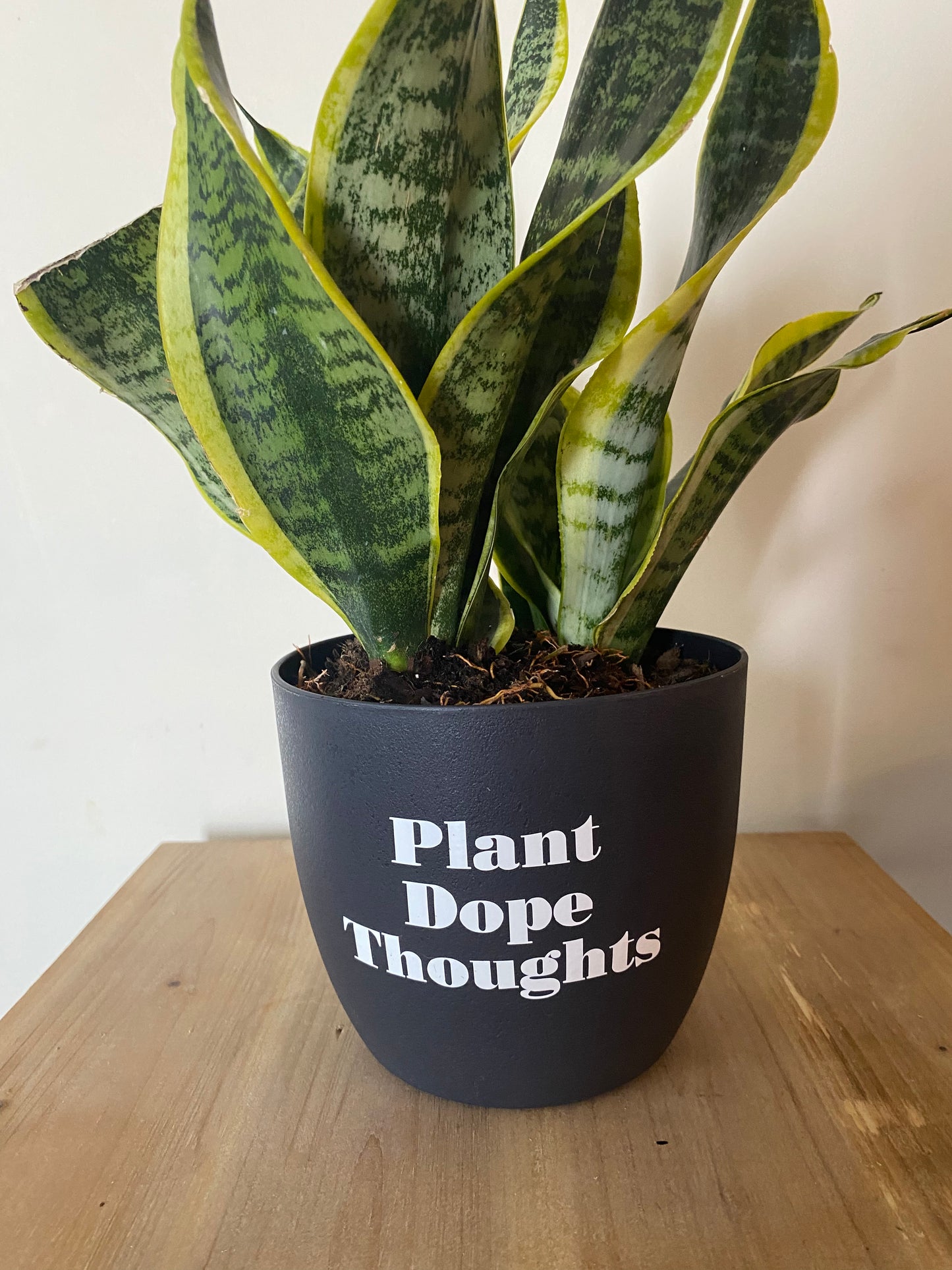 Plant Dope Thoughts.