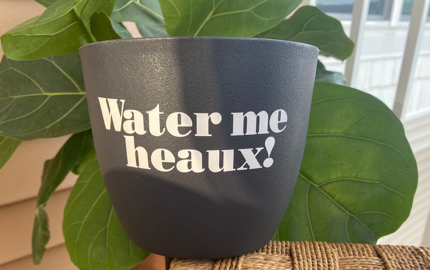 Water Me Heaux